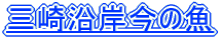 �O�艈�ݍ��̋�