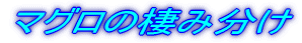 マグロの棲み分け