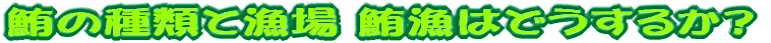 鮪の種類と漁場 鮪漁はどうするか?