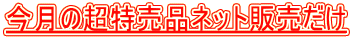 �����̒������i�l�b�g�̔�����