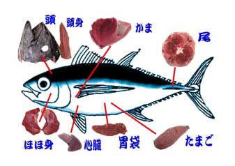 三崎まぐろかま たまご 胃袋 ほほ肉 心臓